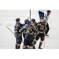 Adirondack Thunder gather following a goal