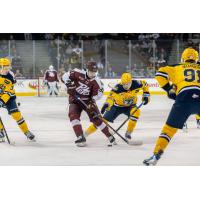 Peterborough Petes left wing Gerry DiCunzolo