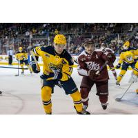 Peterborough Petes centre Aiden Young (right) vs. the Erie Otters