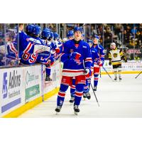 Kitchener Rangers along the bench
