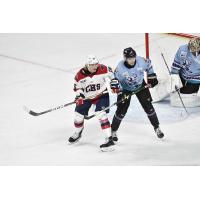 South Carolina Stingrays forward Kaden Bohlsen (left) vs. the Orlando Solar Bears