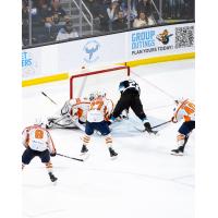 Atlanta Gladiators battle the Greenville Swamp Rabbits