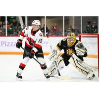 Belleville Senators right wing Olle Lycksell vs. the Providence Bruins