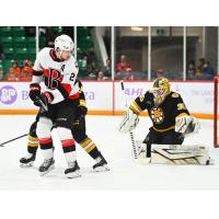 Belleville Senators centre Jan Jeník vs. the Providence Bruins