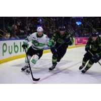 Savannah Ghost Pirates' Will Riedell and Florida Everblades' Oliver Cooper and Kyle Penney in action