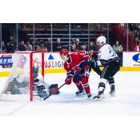 Spokane Chiefs' Cohen Harris battles Kelowna Rockets' Harrison Boettiger and Rowan Guest
