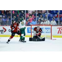 Vancouver Giants goaltender Burke Hood and defenceman Marek Howell vs. the Everett Silvertips