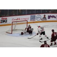 Peterborough Petes goaltender Easton Rye vs. the Niagara IceDogs