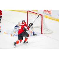 Adirondack Thunder forward Tag Bertuzzi shoots against the Worcester Railers