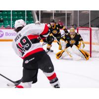 Belleville Senators left wing Jamieson Rees eyes the Providence Bruins goal