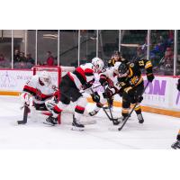 Belleville Senators goaltender Jackson Parsons vs. the Providence Bruins