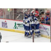 Worcester Railers celebrate a goal