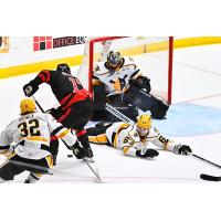 Wheeling Nailers goaltender Jake Smith