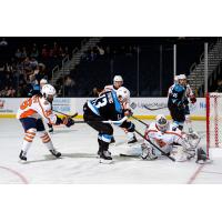 Atlanta Gladiators forward Alex Young takes a shot against the Greenville Swamp Rabbits