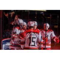 Grand Rapids Griffins gather after a goal