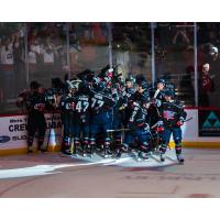 South Carolina Stingrays celebrate a goal