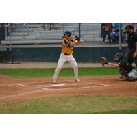 Infielder Austin Gurney with the Moose Jaw Miller Express