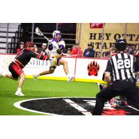 San Diego Seals battle the Ottawa Black Bears