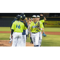 Columbia Fireflies exchange congratulations