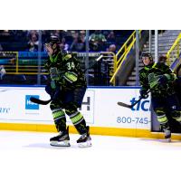 Florida Everblades forward Jesse Lansdell