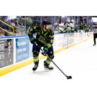 Florida Everblades forward Hudson Elynuik