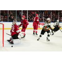 Allen Americans goaltender David Tendeck