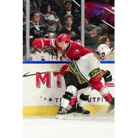 Allen Americans battle the Utah Grizzlies