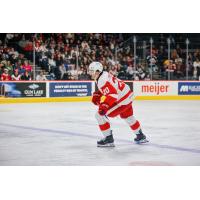 Grand Rapids Griffins defenseman Jacob Truscott