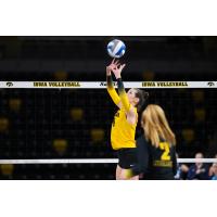 Setter Claire Ammeraal with Iowa