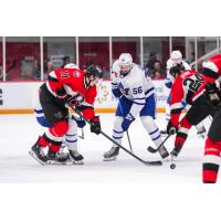 Belleville Senators defenceman Jorian Donovan (left) vs. the Toronto Marlies
