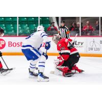 Belleville Senators goaltender Mads Søgaard vs. the Toronto Marlies
