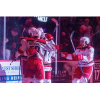 Grand Rapids Griffins celebrate a goal in front of the home fans