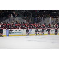 Rapid City Rush exchange congratulations along the bench