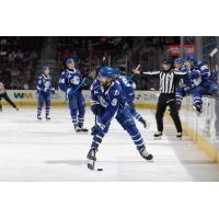 Syracuse Crunch left wing Wojciech Stachowiak vs. the Cleveland Monsters