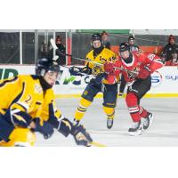 Drummondville Voltigeurs battle the Shawinigan Cataractes