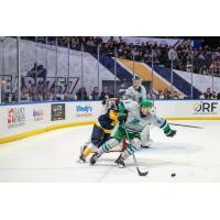 Florida Everblades defenseman Kade Landry