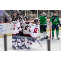 Adirondack Thunder gather following a goal against the Maine Mariners