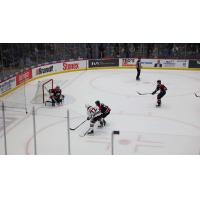 Saginaw Spirit battle the Guelph Storm