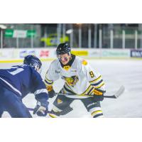 Victoriaville Tigres centre Egor Shilov
