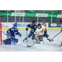 Victoriaville Tigres defenceman Simon-Pier Brunet vs. the Sherbrooke Phoenix