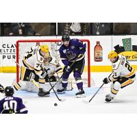 Wheeling Nailers set up defensively against the Greensboro Gargoyles