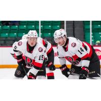 Belleville Senators right wing Olle Lycksell (left) and defenseman Scott Harrington