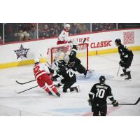 Allen Americans' Colby McAuley battles Utah Grizzlies' Christophe Fillion and Dylan Wells