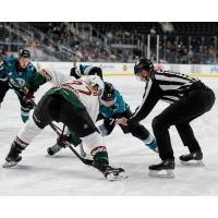 Tucson Roadrunners' Austin Poganski versus San Jose Barracuda's Michael Misa
