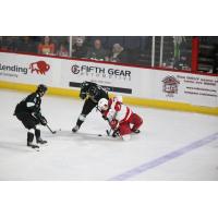 Allen Americans defenseman Sam Sedley (right) battles the Utah Grizzlies