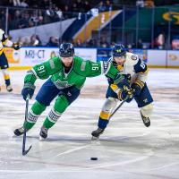 Florida Everblades forward Hudson Elynuik (left) gets the edge against the Norfolk Admirals