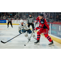 Springfield Thunderbirds center Chris Wagner (left) vs. the Hartford Wolf Pack