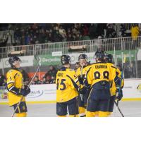 Shawinigan Cataractes gather after a goal
