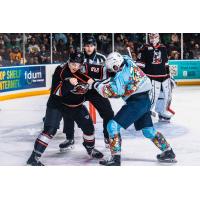 Adirondack Thunder get into a scrap with the Maine Mariners
