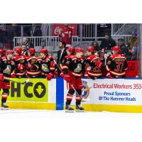 Grand Rapids Griffins left wing Eduards Tralmaks